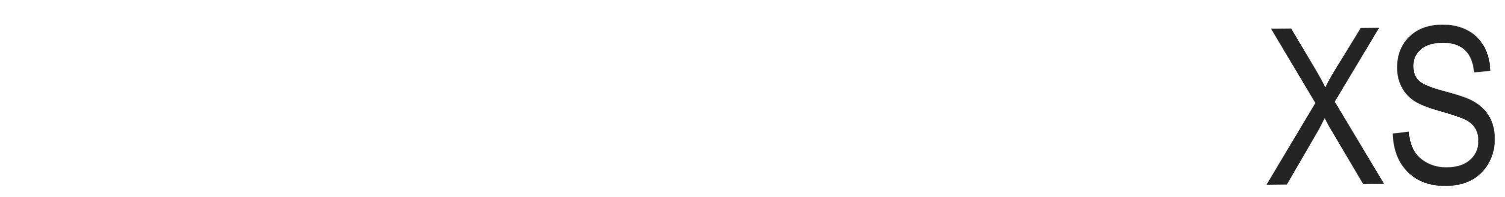 LogoFOTOLIMO-xs-blanc-gris